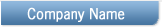 Company Search