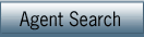 Agent Search