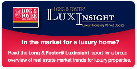 LuxInsight Reports