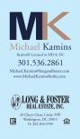 Michael S. Kamins