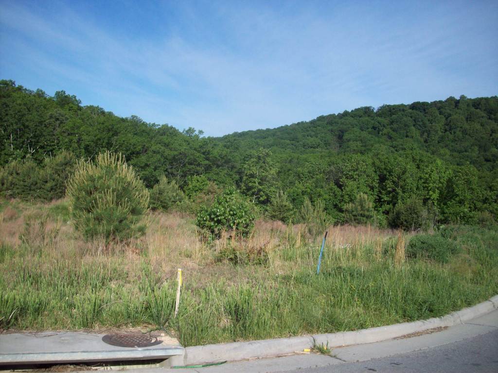 3417  Wellington,  Roanoke, VA