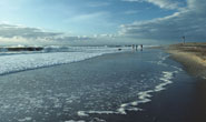 Fenwick Island vacation rentals