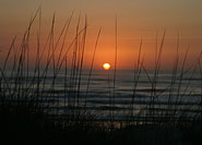 Bethany Beach Vacation Rentals