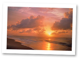 Dewey Beach vacation rentals