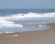 Ocean City Vacation Rentals