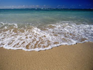 Rehoboth Beach Vacation Rentals