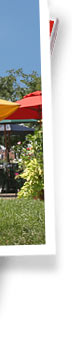 Bel Air real estate info