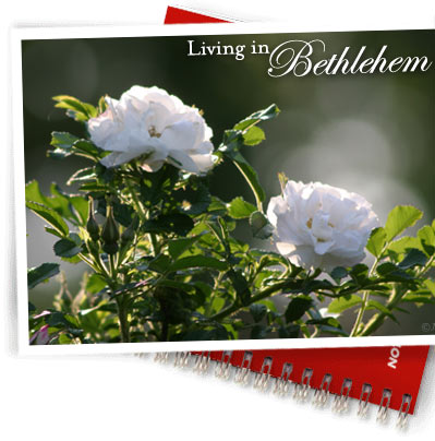 Bethlehem real estate