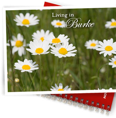Burke Homes for Sale