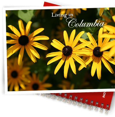 Downtown Columbia