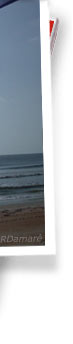 Dewey Beach real estate info