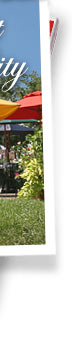 Ellicott City real estate info