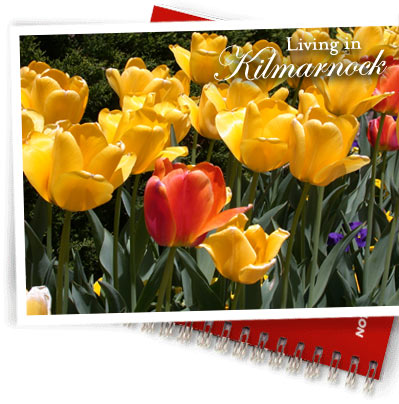 Kilmarnock Homes for Sale