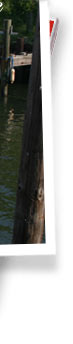 Eastern Shore real estate info