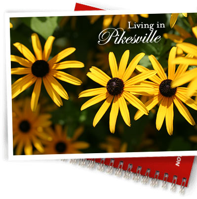 Downtown Pikesville