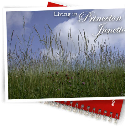 Princeton Junction real estate