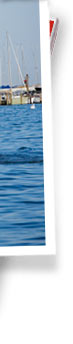 Solomons Island real estate info