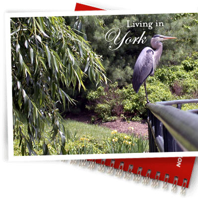 York real estate