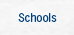 schools